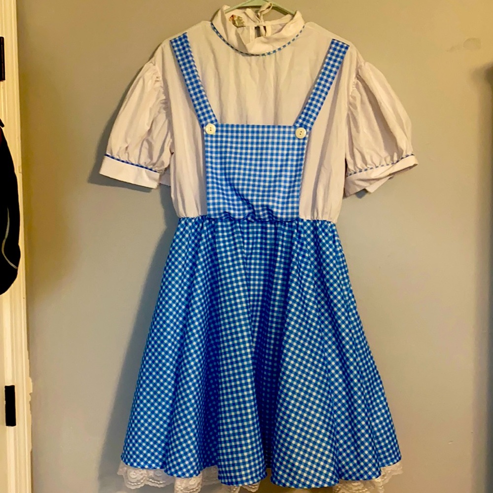 The Wizard of Oz Dorothy costume XL  with all accessories included.